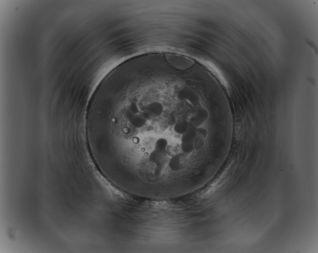 X0000093250903200709261717