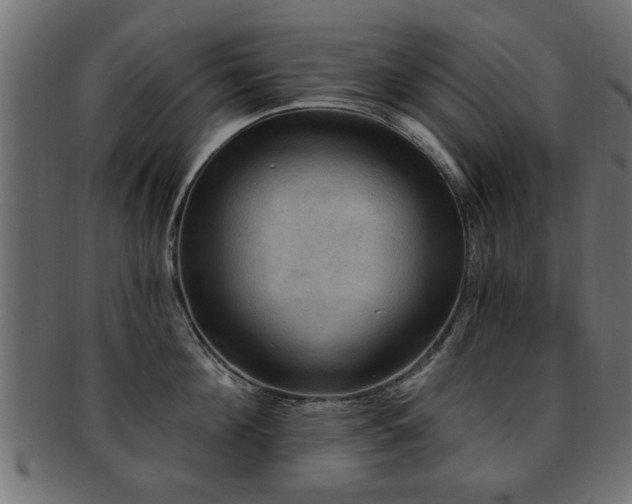 X0000093250908200709261717