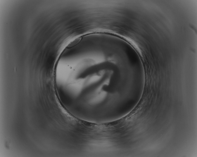 X0000093250911200709261717