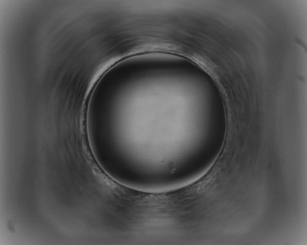 X0000093250912200709261717