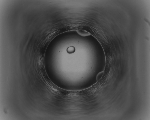 X0000093250914200709261716