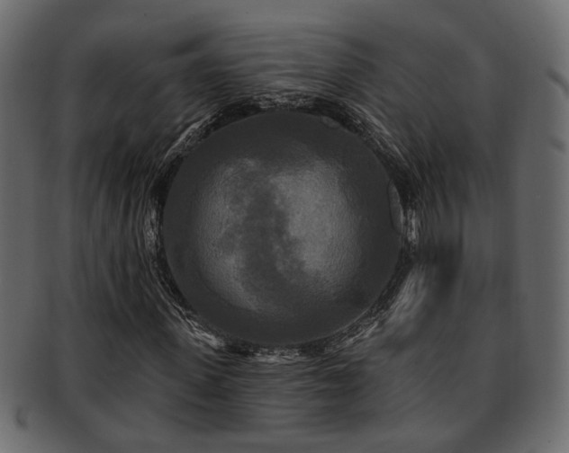 X0000093250915200709261716