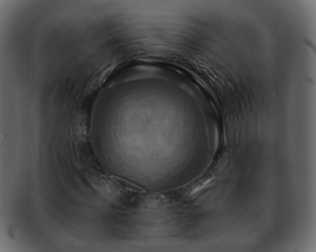 X0000093250916200709261716