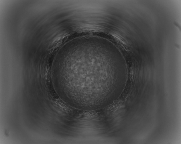 X0000093250917200709261716