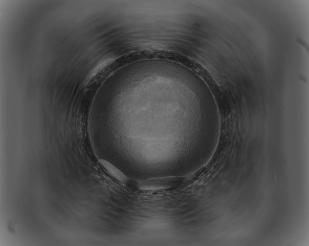 X0000093250919200709261716