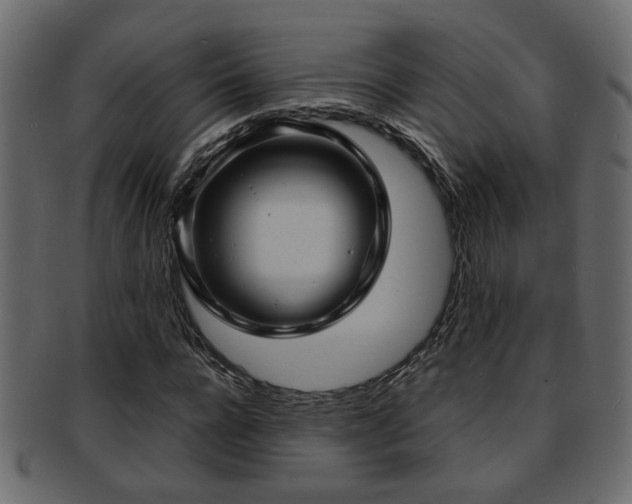 X0000093250920200709261716