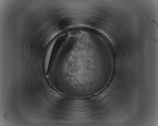 X0000093250921200709261716