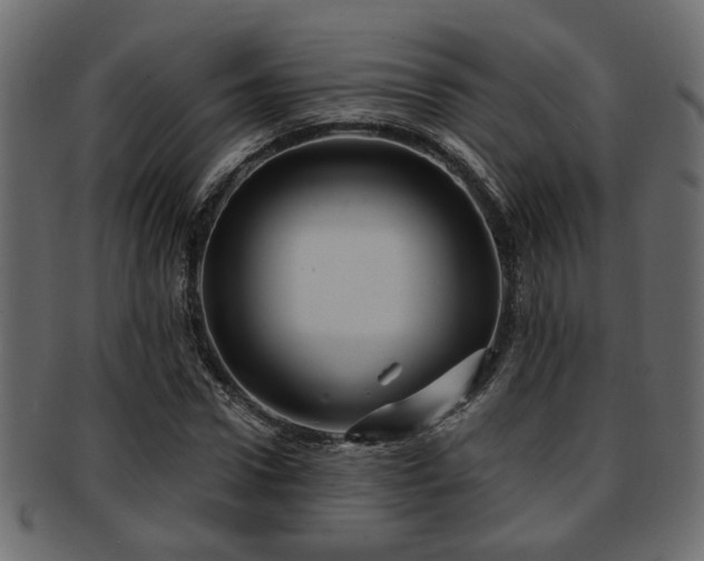 X0000093250922200709261716