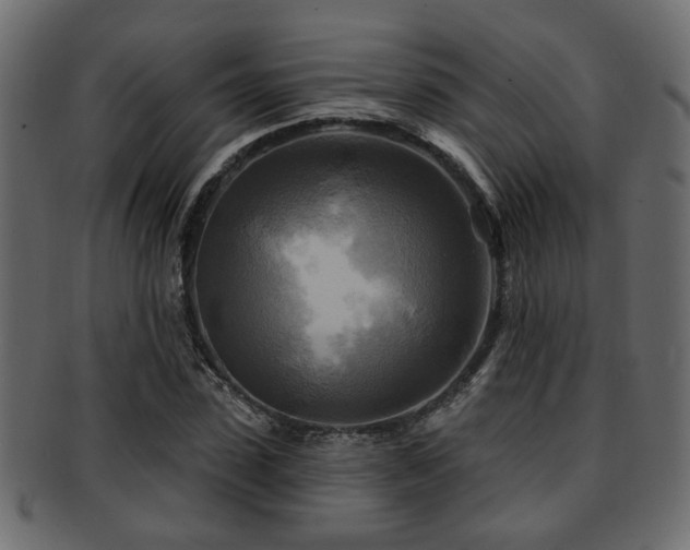 X0000093250923200709261716