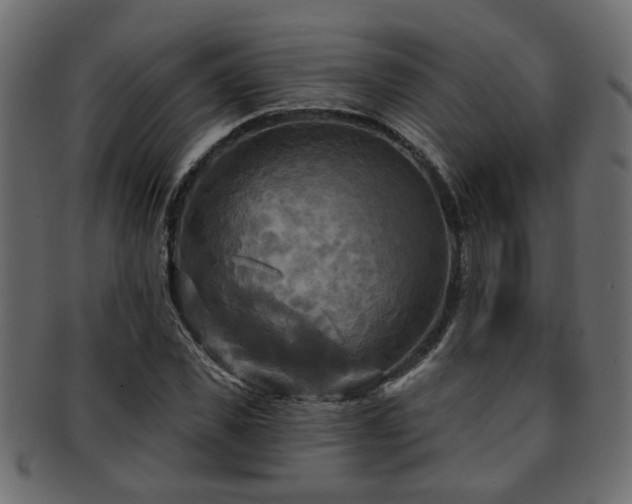 X0000093250925200709261716