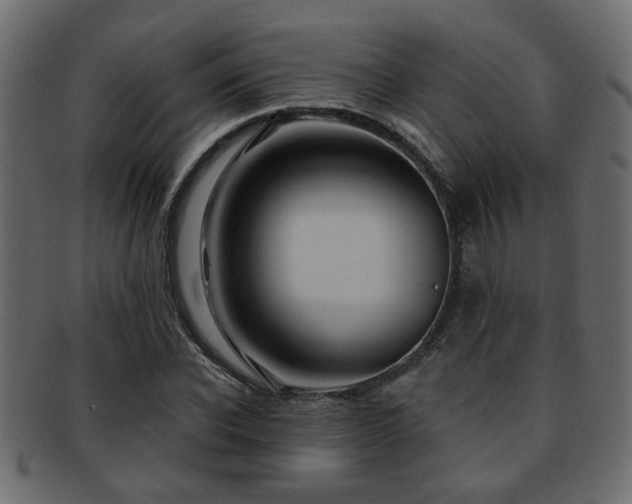 X0000093250926200709261716