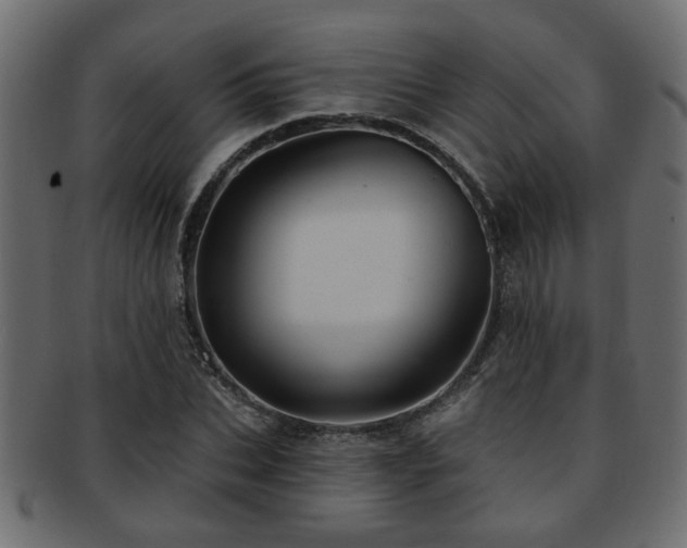 X0000093250927200709261716