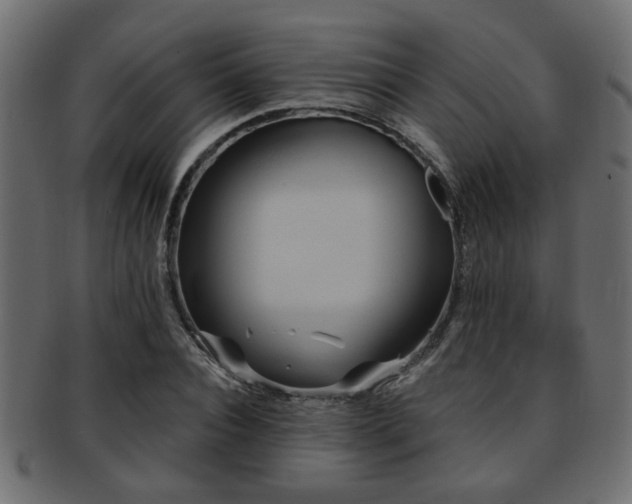 X0000093250928200709261716