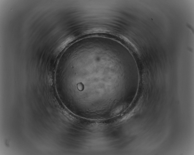 X0000093250929200709261716