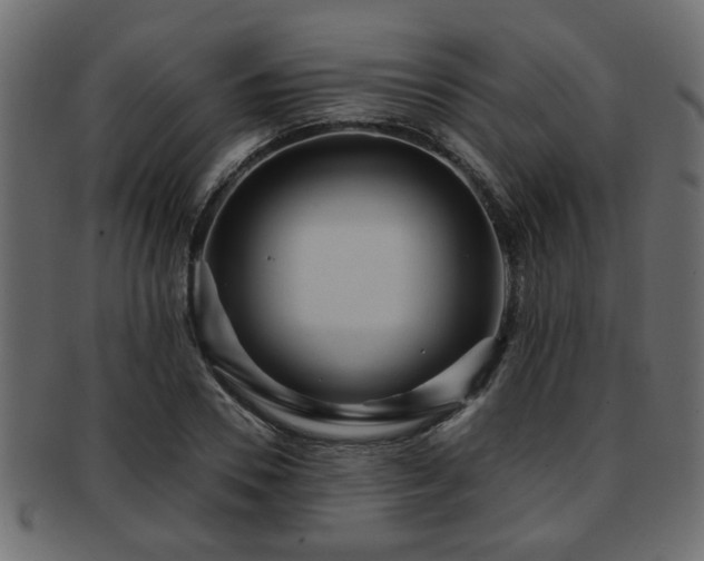 X0000093250930200709261716