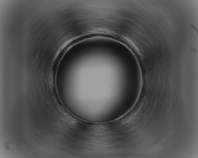 X0000093250931200709261716