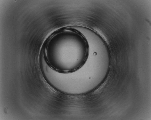 X0000093250932200709261716