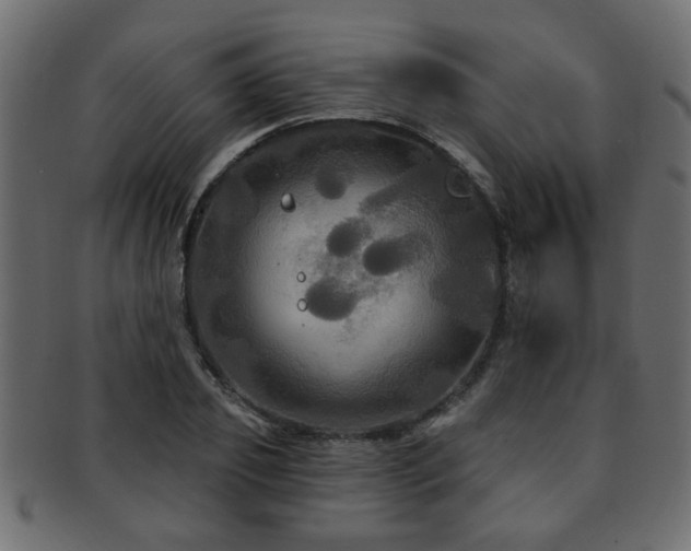 X0000093250933200709261716