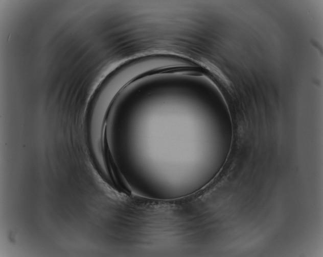 X0000093250934200709261717