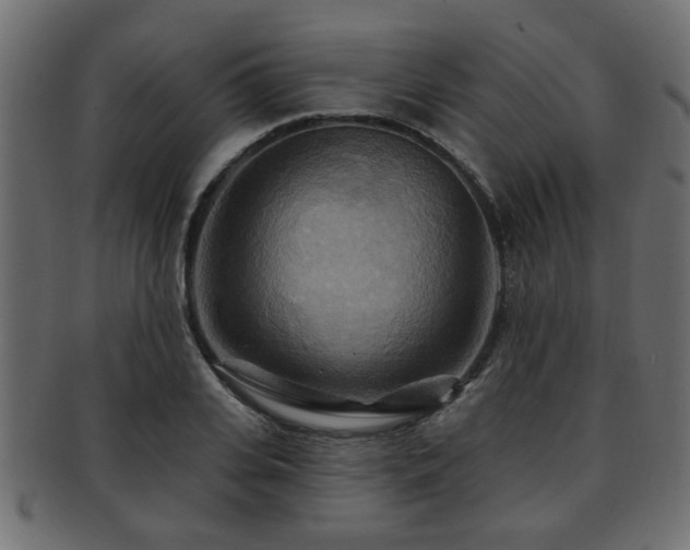 X0000093250935200709261717