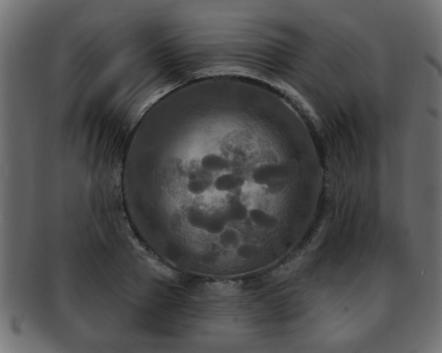 X0000093250937200709261717