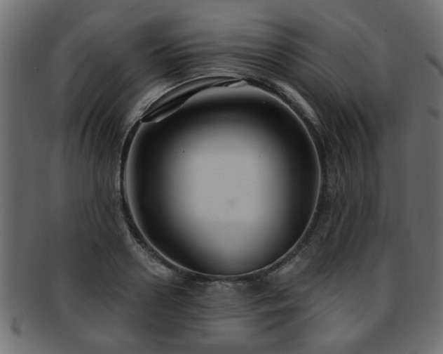 X0000093250938200709261717