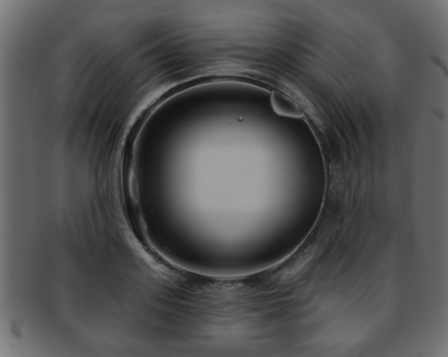 X0000093250939200709261717