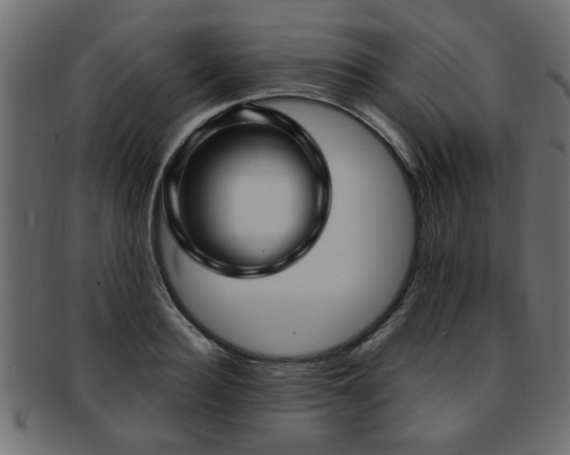 X0000093250940200709261717