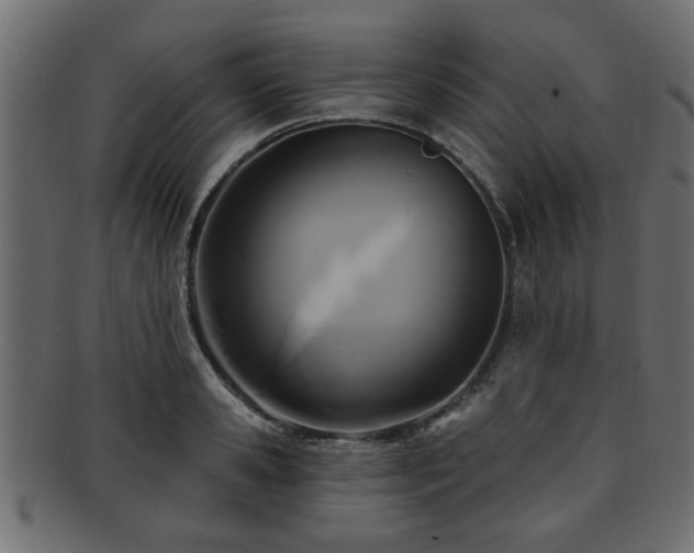 X0000093250941200709261717