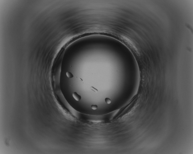X0000093250942200709261717