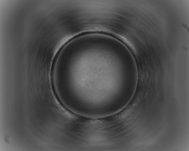 X0000093250943200709261717
