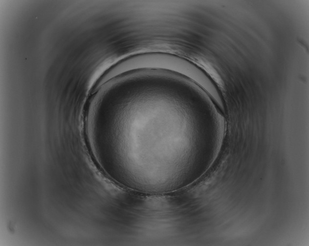 X0000093250944200709261717