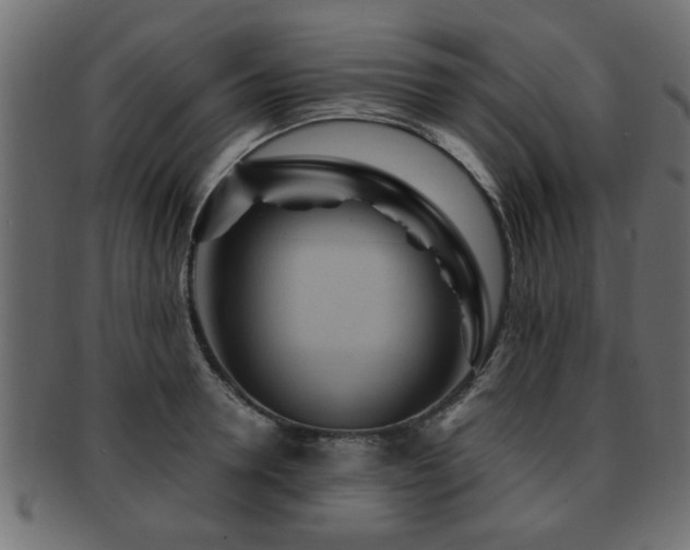 X0000093250946200709261717