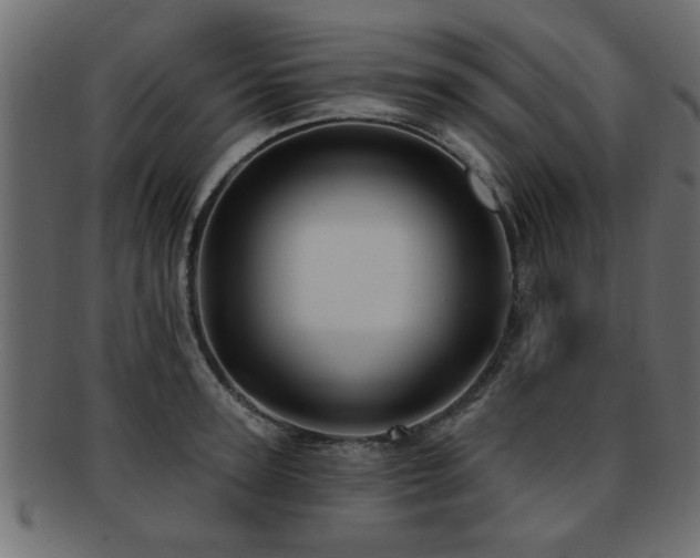 X0000093250947200709261717