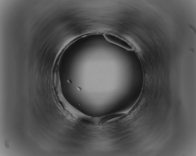 X0000093250948200709261717