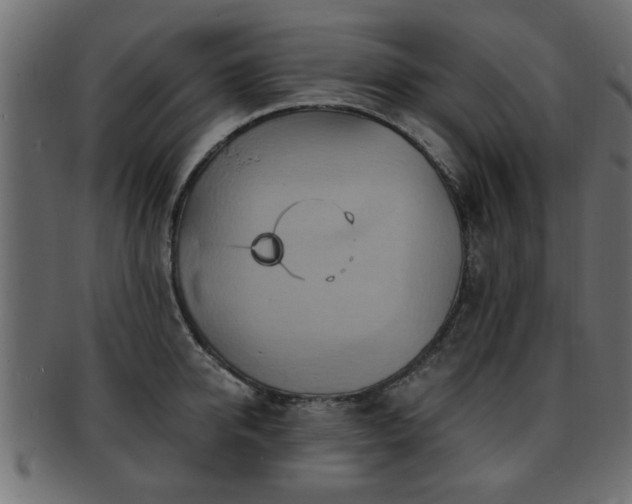 X0000093250950200709261717
