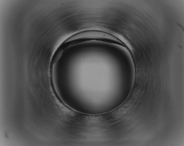 X0000093250951200709261717