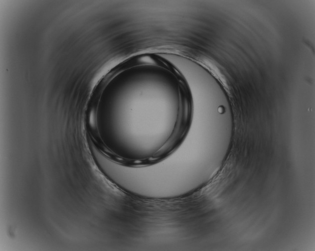X0000093250952200709261717