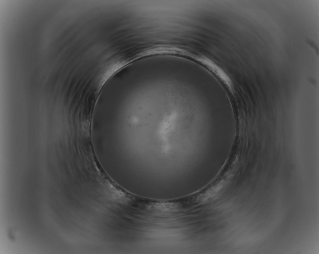 X0000093250953200709261717