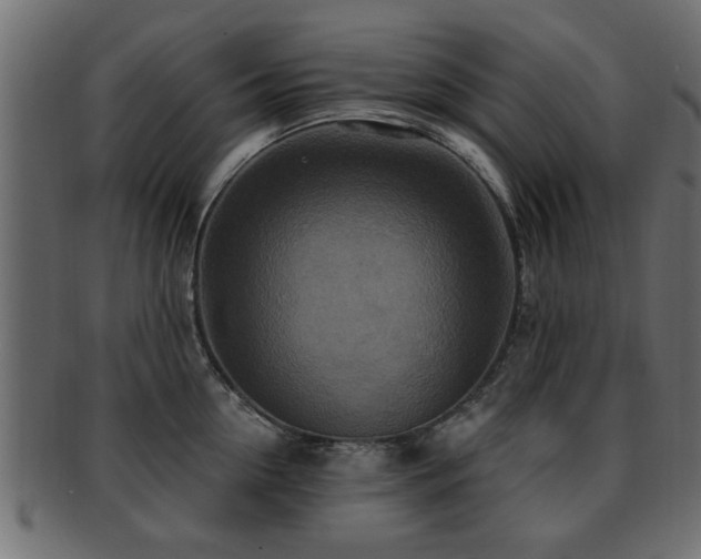 X0000093250954200709261717