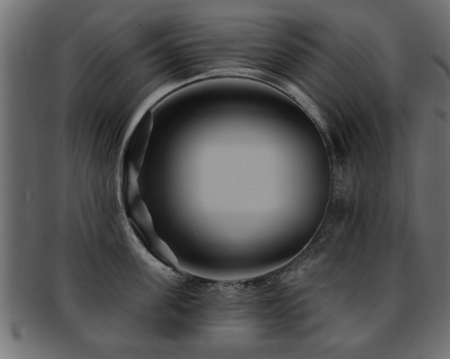 X0000093250955200709261717
