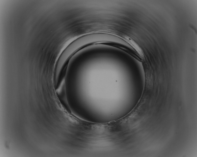 X0000093250956200709261717