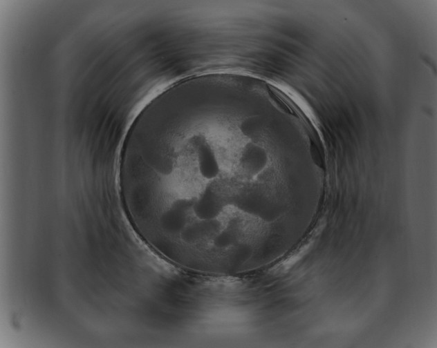 X0000093250957200709261717