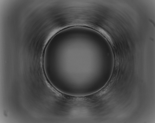 X0000093250958200709261717