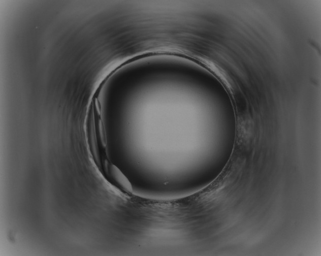 X0000093250959200709261717