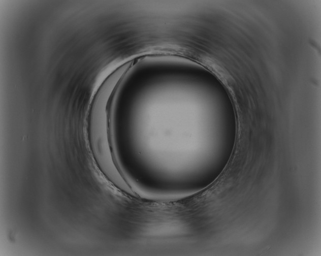 X0000093250960200709261717