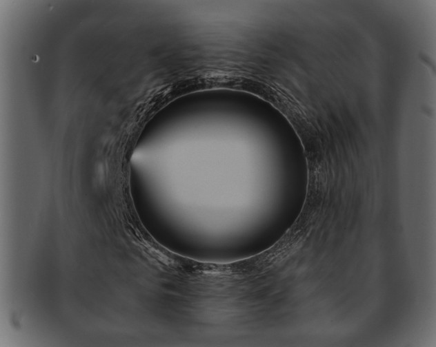 X0000093250961200709261716