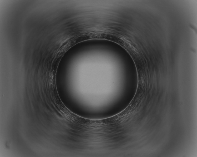 X0000093250964200709261716