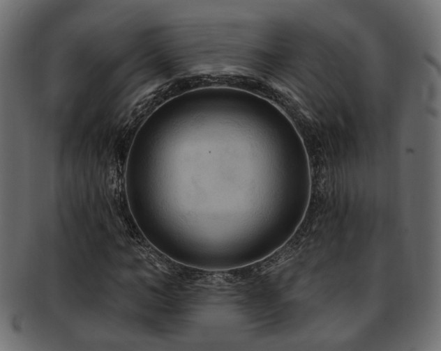 X0000093250966200709261716