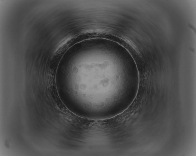 X0000093250967200709261716